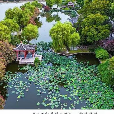 高天流云的美篇
