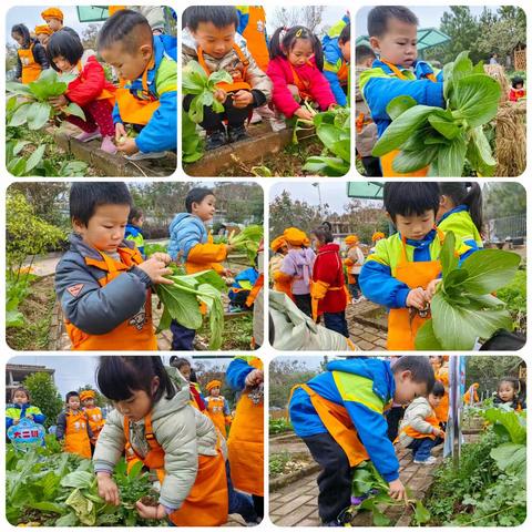 【班级动态】“感受童真，欣赏童趣”——周田中心幼儿园大二班第十五周班级动态