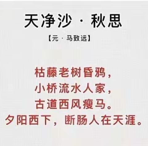 享语文盛宴，观花开课堂——第七中学教育集团七年级语文公开课活动