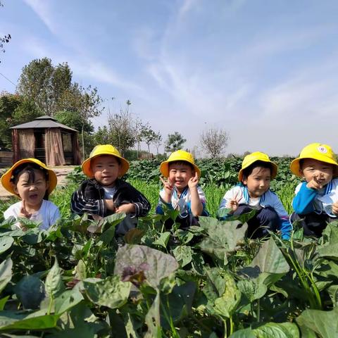 研学之旅第二站——新时代幼儿园（原许慎莱茵幼儿园）许慎耕读苑采摘篇