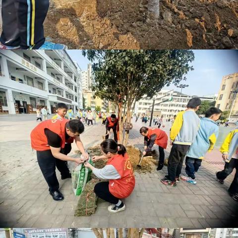 田林县第二小学 “学习雷锋铸魂  绿化校园造美”植树节主题活动