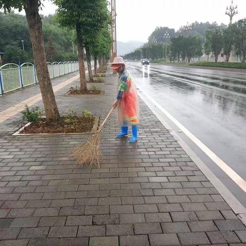 司科朗青凤项目周富纯的美篇