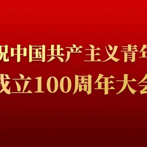 共青春，向未来——六合小学四年级二中队学习习总书记在庆祝中国共产主义青年团成立100周年大会上的重