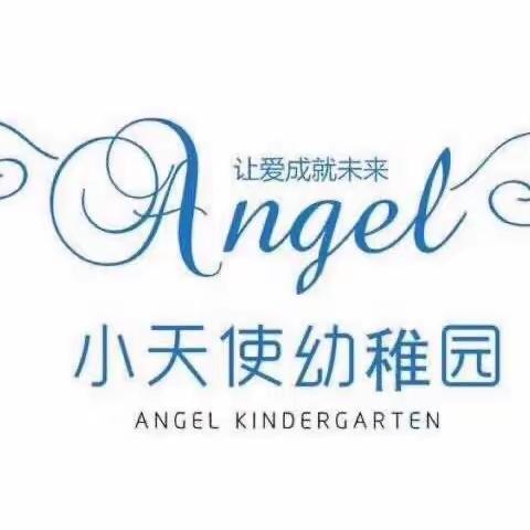 中班：本周回顾