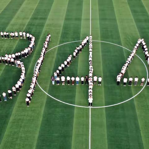 循梦而行  向阳而生——小学语文项目第四小组