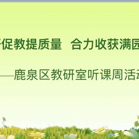 以研促教提质量，合力收获满园芳——鹿泉区教研室听课周活动