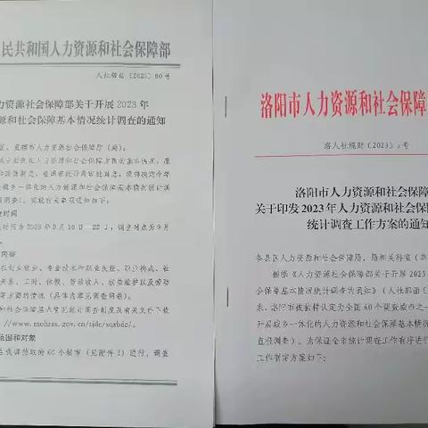 洛阳市全面开展2023年人力资源和社会保障基本情况统计调查工作