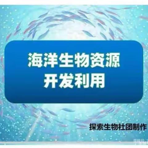 钢二路小学探索生物社团 本周课题：《海洋生物资源的开发和利用》海洋生物资源