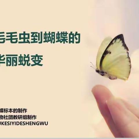 钢二路小学探索生物社团