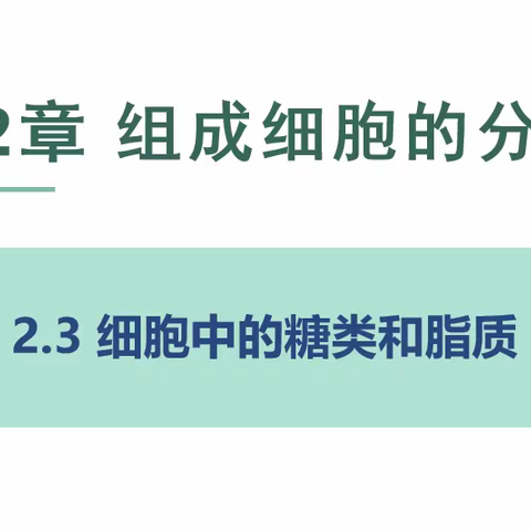 活动促成长，教研绽芳华