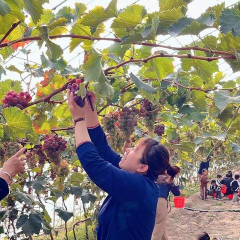 华大地球村幼儿园秋游记