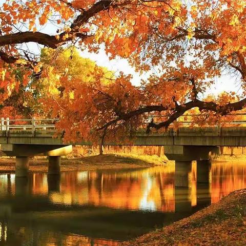 智慧研学路 精彩每一步