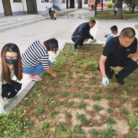 党旗红 乡村美——孝义街道小沟村开展“红色星期六”环境整治志愿服务活动