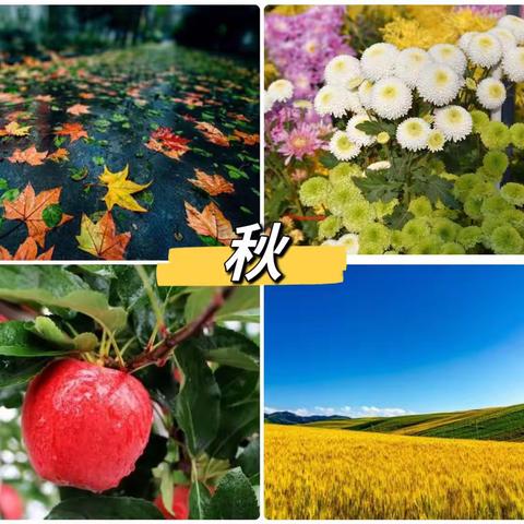 我眼中的秋天🍂