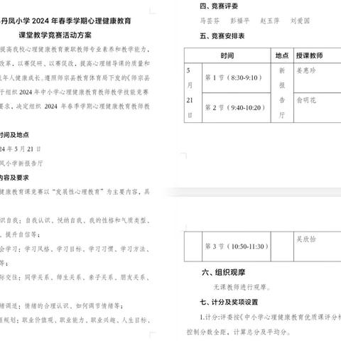 师宗县丹凤完全小学2024年心理健康教育教师教学技能竞赛