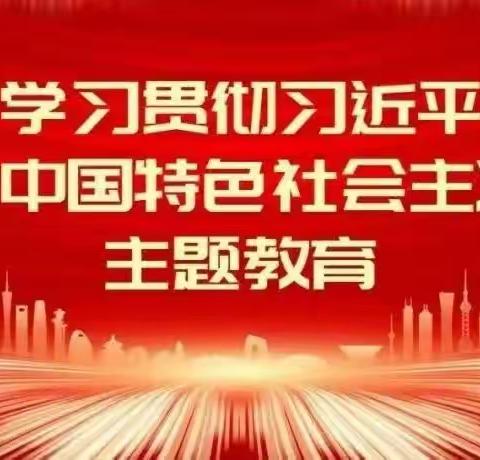 新县啟福小学党支部深入开展学习贯彻习近平新时代中国特色社会主义思想主题教育（副本）