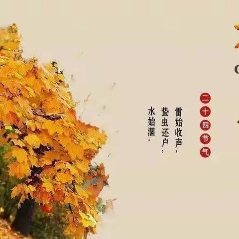 【二十四节气】秋分--秋分至，天转凉