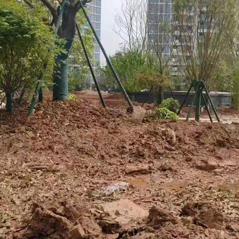 保利施工进度情况