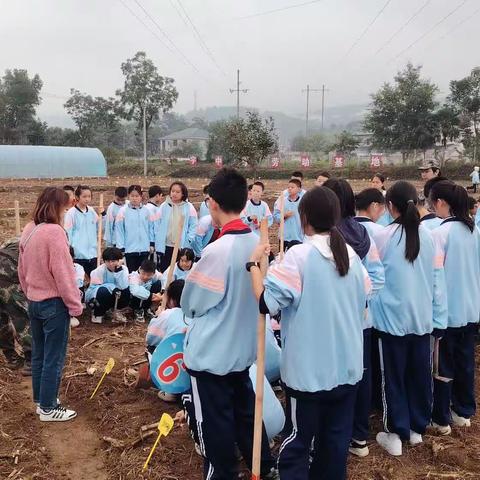 以“劳”树德，以“劳”育美——宏宇中学2309班劳动教育美篇