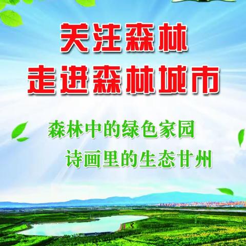 关注森林，走进森林城市