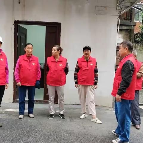 美了，我的家园