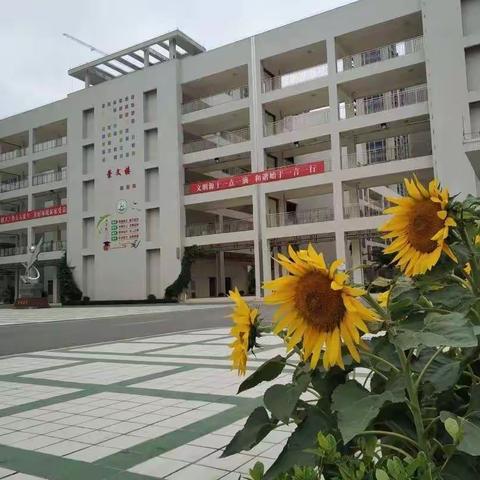 因为有你，路上皆是温暖——记四（8）班家长志愿者活动日