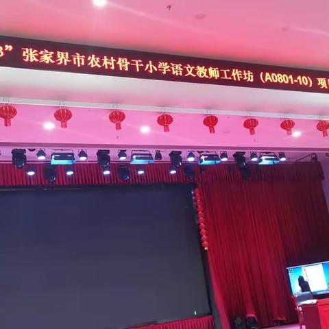 张家界市农村骨干小学语文教师工作坊线下研修
