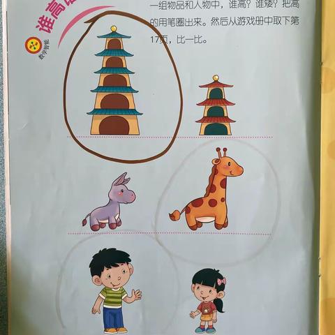 数学活动《谁高谁矮》