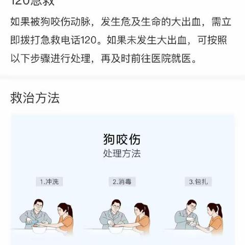 被狗咬伤的处理方法