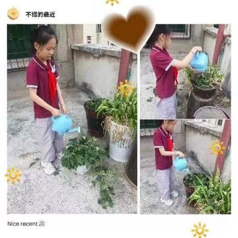 芒种时节：劳动与传承的美丽交响