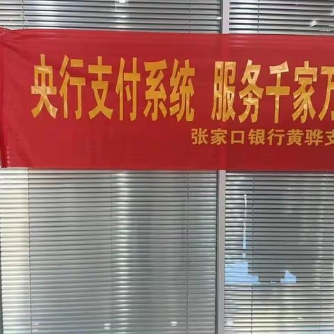 张家口银行黄骅支行支付系统宣传月活动总结