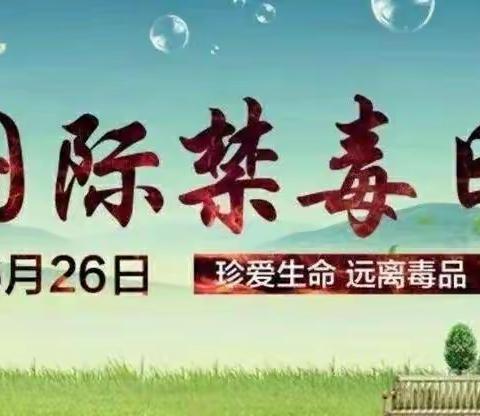 健康人生，绿色无毒——中卫七小开展国际禁毒日活动纪实