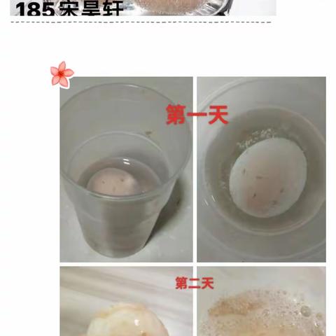 烈火炼真金，实践验真知---冀英中学化学组九月份工作总结