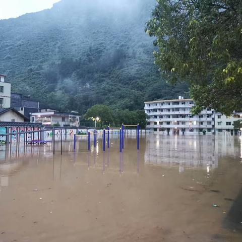 齐心协力抗洪魔，众志成城护家园——阳山县秤架民族学校抗灾救灾工作纪实