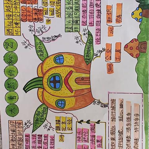 实验小学二年级五班语文第一单元思维导图展示