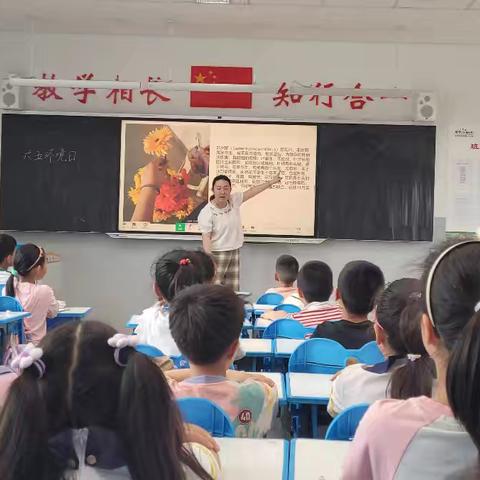 胜利二小开展“6.5世界环境日观察非洲菊”主题队日活动