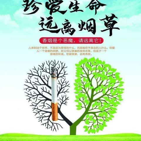 创建无烟校园，我们在行动——王莽街道汤房庙小学控烟教育活动记实（副本）