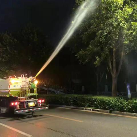 邯郸市园林局城市绿化养护管理处节前集中治理行道树法桐方翅网蝽