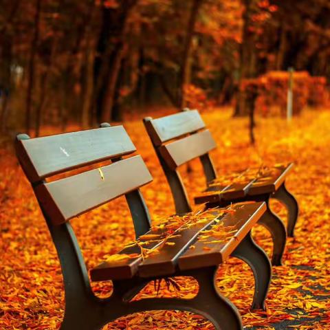 神经内科9月家庭回访