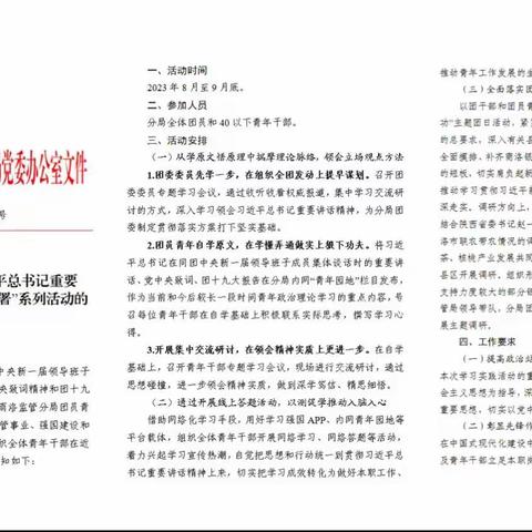 国家金融监督管理总局商洛监管分局五项举措深入开展“深入学习贯彻习近平总书记重要讲话精神 全面落实团十九大部署”主 题系列活动