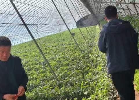 龙王庙支行关于开展202年“五进入、全覆盖”金融知识宣传