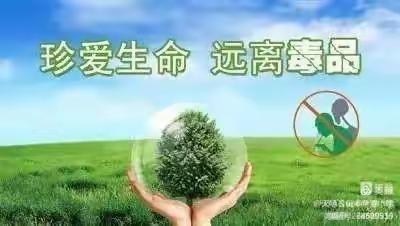 珍爱生命 远离毒品—天水镇中心小学第十八周班会活动纪实