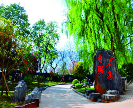 巫山县官渡初级中学 2025年劳动节放假安全提示