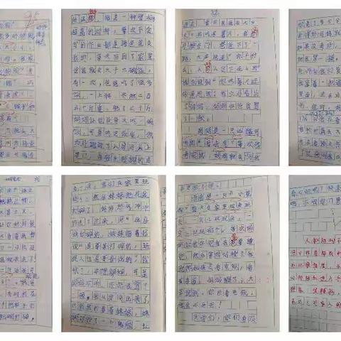 本周主题 【“动物园”】