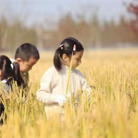 研学之旅，成长之行                     ——外语实验学校（小学部）“生命安全&劳动教育&户外拓展”主题研学活动