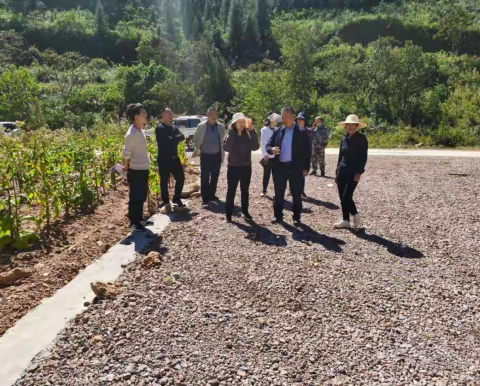 众人拾禾着金甲 计不旋踵奏凯旋﻿ ——广南县城乡建设用地增减挂跨省交易项目工作纪实