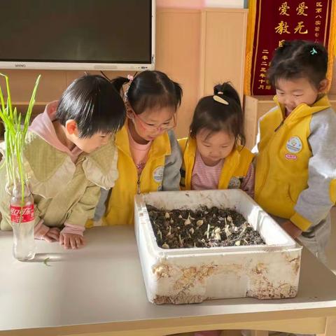 【滨城区第八实验幼儿园·小五班】丰收季🌾美食记🌿蒜苗炒鸡蛋🥚