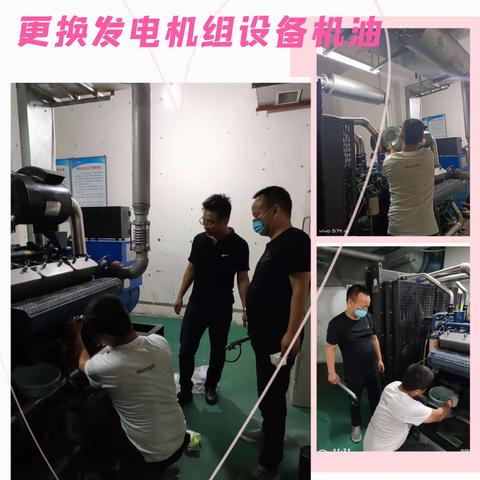 长兴金座六月简报