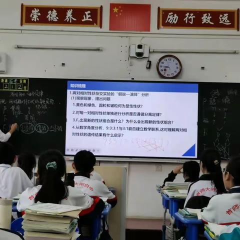 一轮复习：基因自由组合定律