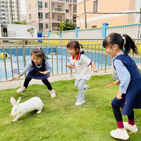 我和小兔有个约会